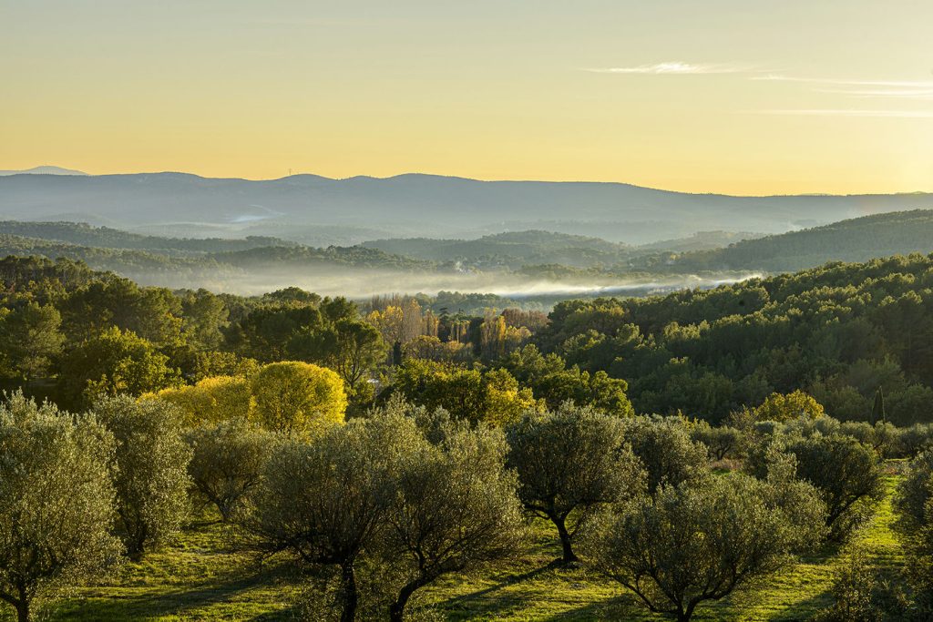 Vue sur la nature environnante à la Bastide de Tourtour - spa draguignan