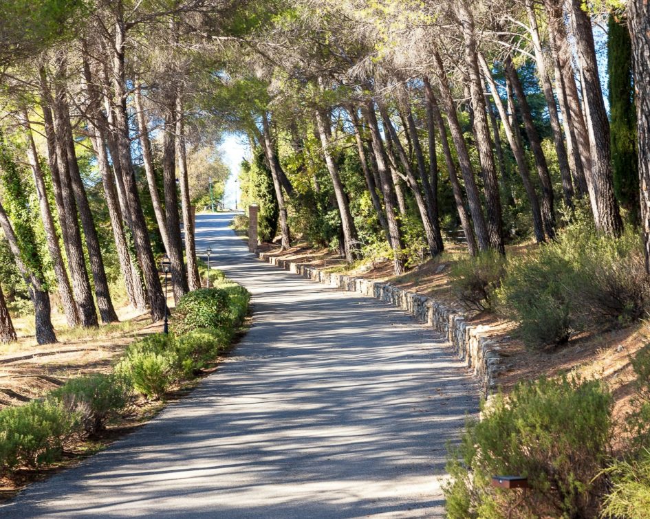 Route entourée d'arbres qui mène à la Bastide de Tourtour - hotel var