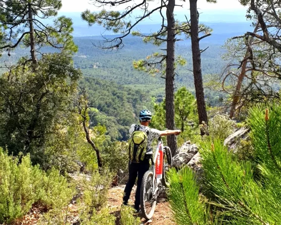 Person who rides a mountain bike in the countryside - Bastide de Tourtour