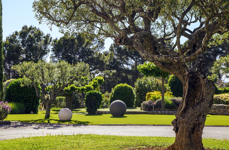 The garden at the Bastide de Tourtour, with its olive tree and rounded sculptures in the background