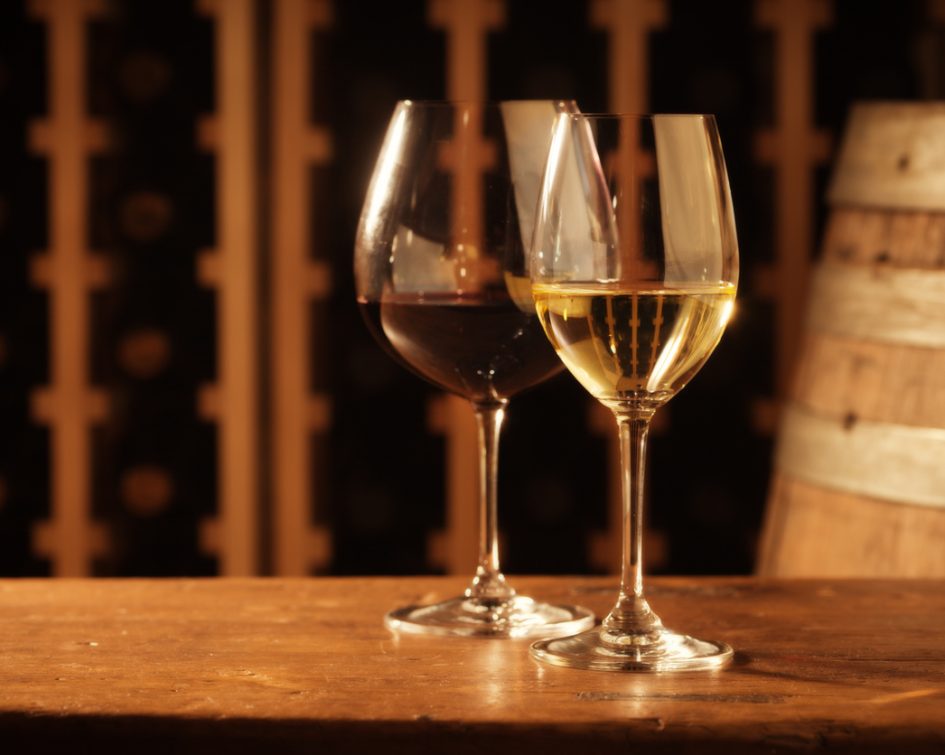 Red and White Wine Tasting Glasses by Cellar Racks, Barrel Glass of wine at Château La Calisse in Pontèves - chateau var