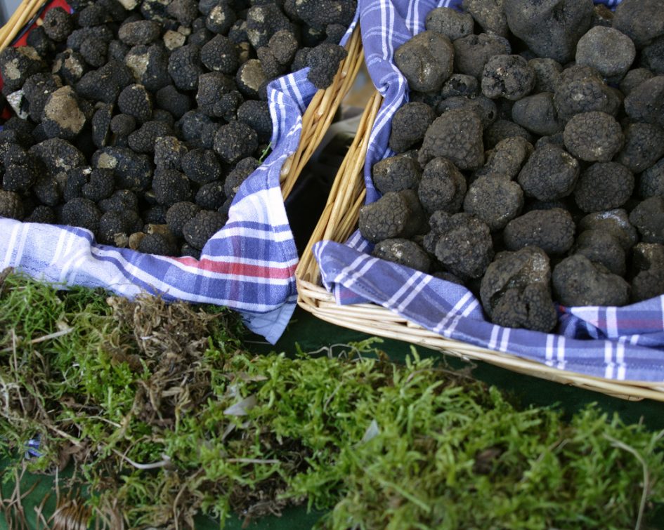 Baskets with truffles black truffles at an Italian marketmore truffles:
