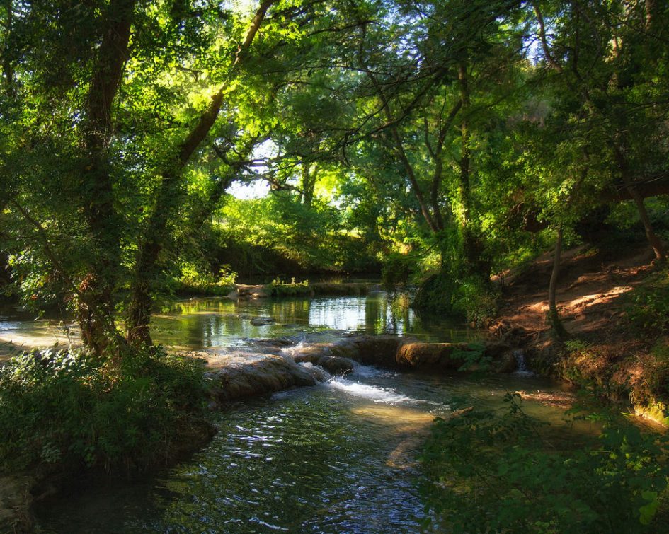 Ruisseau dans la nature ombrageuse