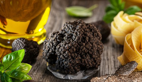 truffle 6 q2vnw86ecbhybje8p5a9z0jewkcqrerun73baiumr6